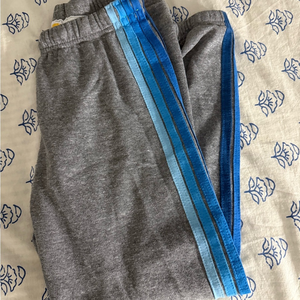 Aviator Nation Gray and Blue Sweatpants with Sporty Stripes